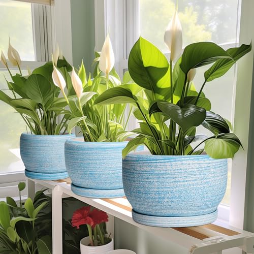 Ceramic Plant Pots