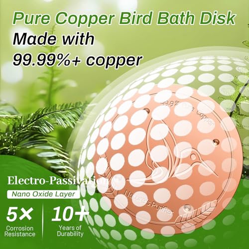 Bird Bath Copper Disk (1Pcs)