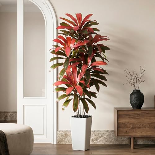 Artificial Dracaena Tree (Burgundy – White Pot / 5FT)