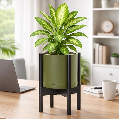 Plastic Pot with Ebony Wood Stand (Olive Pot + Ebony Stand / 8 Inch)