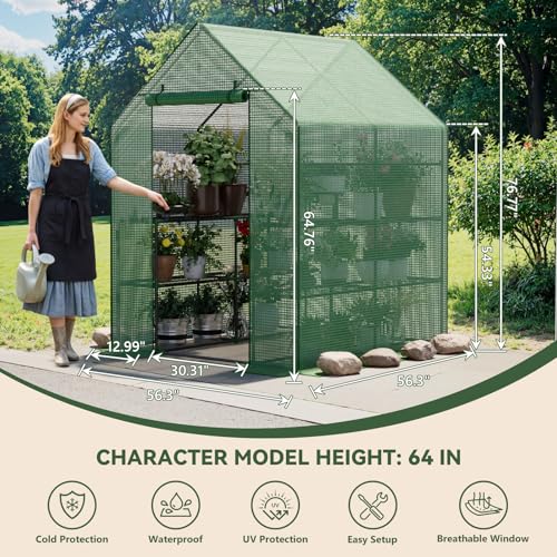 Small Greenhouse for Outdoors