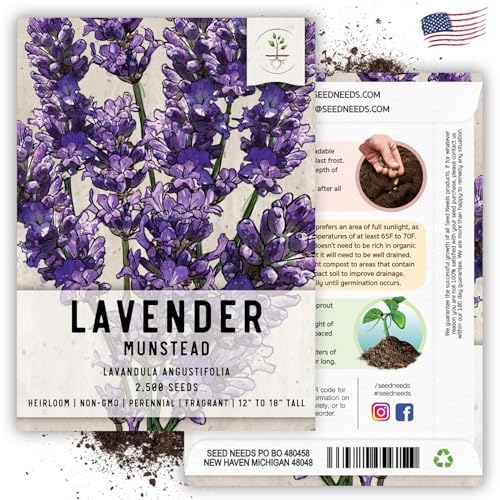 Munstead Lavender Seeds for Planting Fragrant Herbs 2 Packs (2 Packs)