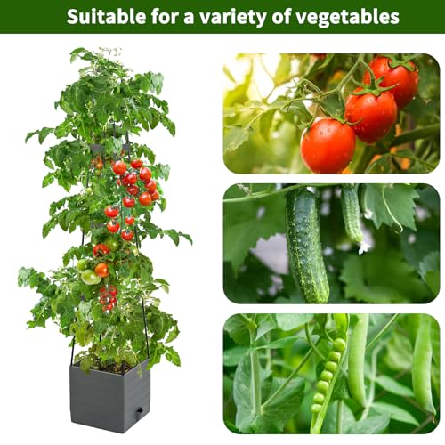 2 Pack Raised Garden Bed (2 Count)