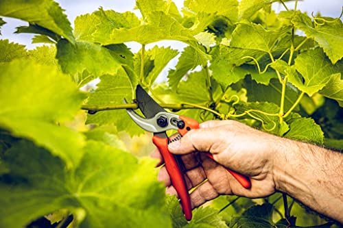 LÖWE 14.107 Garden Shears Metal (Inward curved handle)
