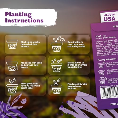 2 000 Mix Dwarf Petunia Heirloom Flower Seeds for Planting