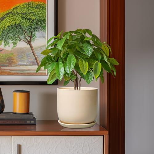 Ceramic Planter (8 Inch / Beige)