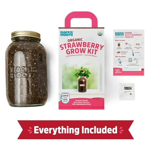 Organic Strawberry Grow Kit (Strawberry)