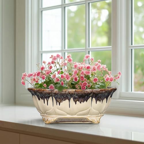 Ceramic Bonsai Tree Pots (11 Inch / Oval Beige-brown)