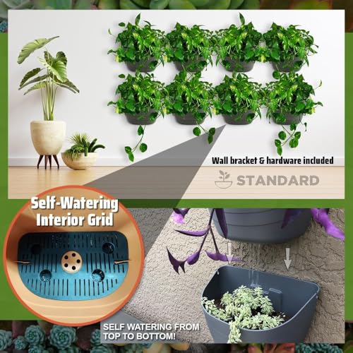 12 Inch Self Watering Wall Planter for Indoor & Outdoor Use (Concrete Gray / 12 inches - WITH PLUG)