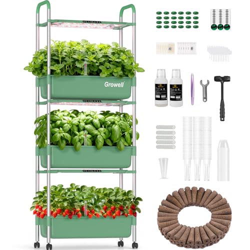 Hydroponics Growing System Kit (Green / 3 Tier/81 Pods)