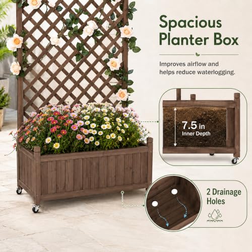 Trellis Raised Garden Bed with Wheels Trellis for Climbing Plants Outdoor (Dark Brown / H63 × W36 × D17.5 in)