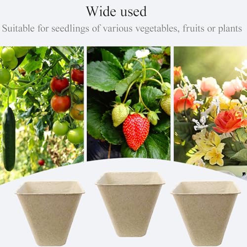 50Pcs Biodegradable Seedling Pots Seed Starter Kit 3.15 Inch Square Peat Pot with Drainage Holes (Square (With Labels, Picker, and Shovel))