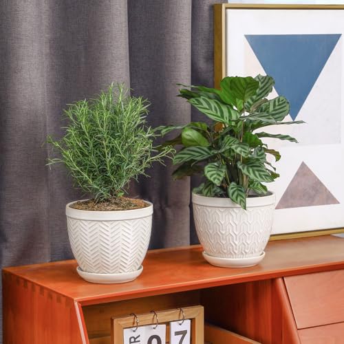 6.5 Inch Ceramic Plant Pots Set of 2 (Glazed White / 6.5 inch)