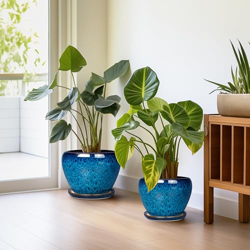 Ceramic Plant Pots Indoor (3 Count)