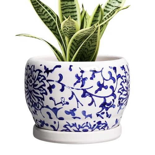 6 Inch Planter