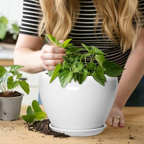 Ceramic Pot for Plants (8 Inch / Glossy White)