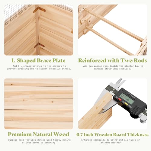 Raised Garden Bed with Fencing and Trellis (6.6x5.6x3 FT)