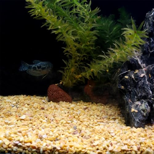Yellow Coarse Sand for Plants