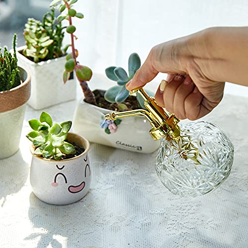 Glass Plant Mister Water Spray Bottle (Clear+Gold A)