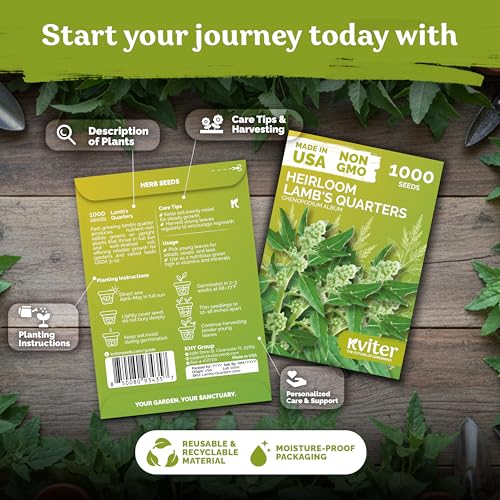 1000 Lambs Quarters Seeds