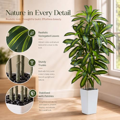 Artificial Dracaena Tree (Dark Green – White Pot / 6FT)