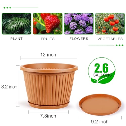 Large Planter (Terracotta / 12 Inch)