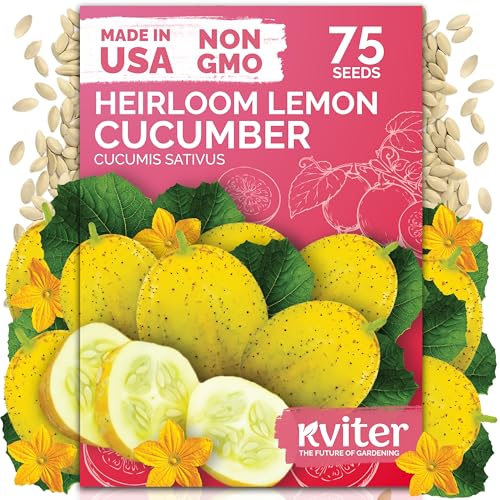 75 Lemon Cucumber Heirloom Vegetable Seeds for Planting