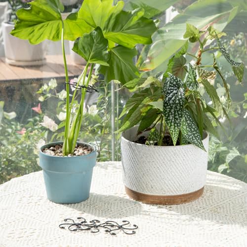 5PCS Monstera Plant Stem Support (Black / 2.75IN*2.75IN)