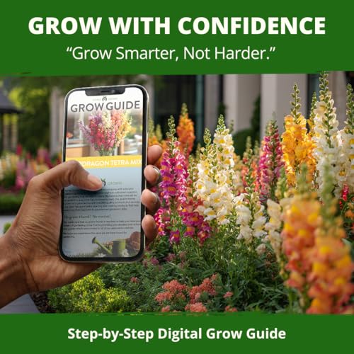Tetra Snapdragon 7000 Flower Seeds Antirrhinum majus