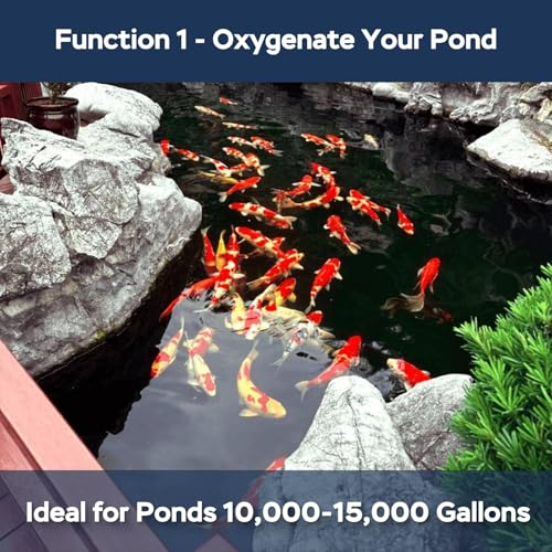 All-in-1 Koi Pond Aeration Kit Pond Air Pump with Self-Sinking Airline Rubber Air Diffuser, Air Flow Control Pond Aerator for Outdoor Pond 10,000-15,000 Gallons