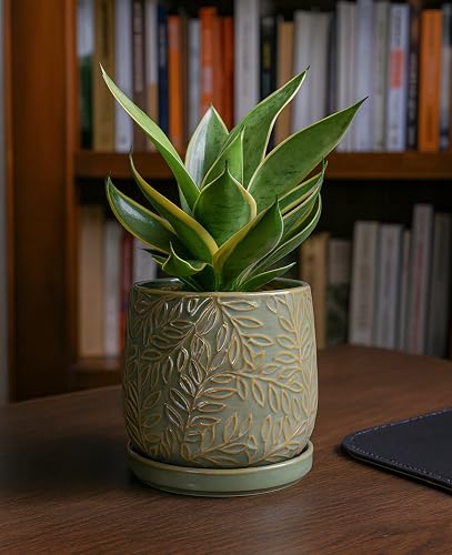 Embossed Leaves Ceramic Planter (6 Inch / Olive)