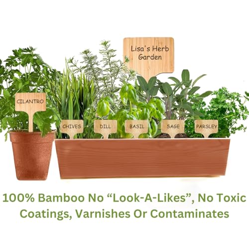 100 Pcs Large Size Tall Garden Markers Plant Labels 8" x 4" for Easy Identification Vegetable Herb and Flower Gardens (100 Count)