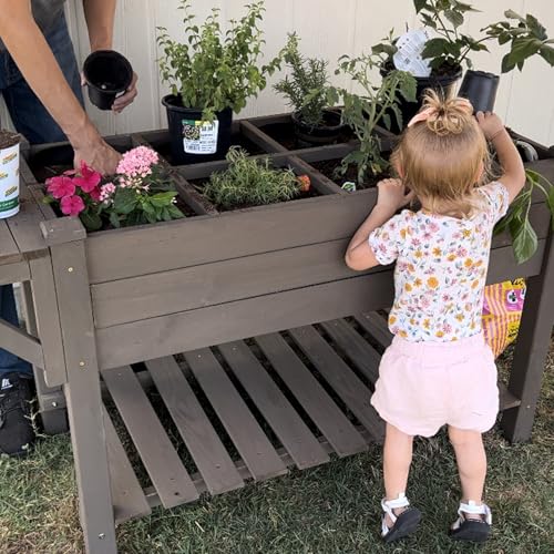 Raised Garden Bed Mobile Outdoor Planter Box with Legs for Vegetables Flower Herb