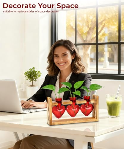 Plant Terrarium with Wooden Stand (Red)