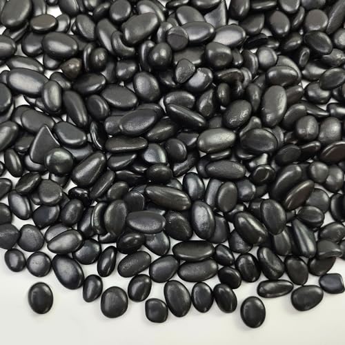 Black Pebbles for Indoor Plants (16 Ounce)