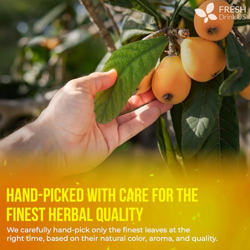 Premium 8oz Loquat Leaves (8oz)