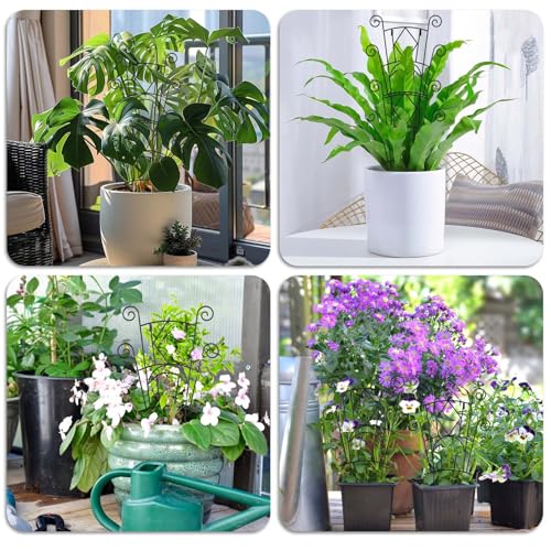 4 Pack Stackable Metal Plant Trellis for Climbing Plants Outdoor