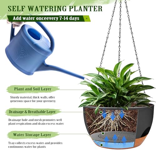 12 Inch Hanging Basket Planter with Chain & Rope for Indoor Outdoor Plants (2 Type Plant Hangers Black / 12 Inch)