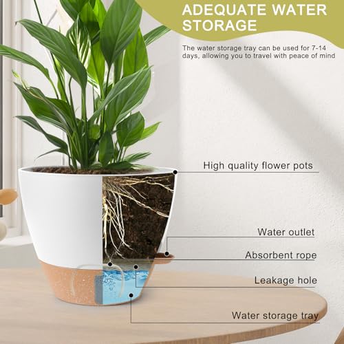 Self Watering Pots for Indoor Plants 12 (White)
