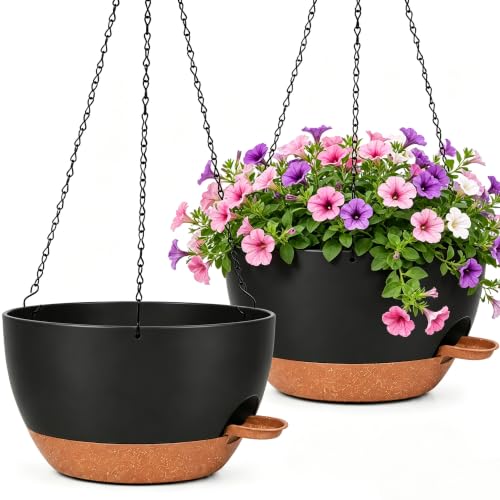 2 Pack 10 Inch Self Watering Hanging Planters for Indoor Plants