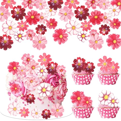 65 PCS Edible Gosang Flowers Cupcake Toppers Wafer Paper Flower Birthday Party Decorations Edible Hibiscus Wildflower Cupcake Picks for Baby Shower Wedding Birthday Party Cake Decorations Supplies (60 Count)