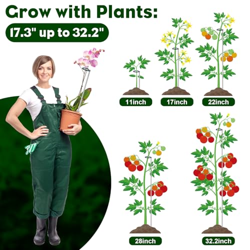 Extendable Monstera Plant Support Stakes (32.2inches-7Pack)