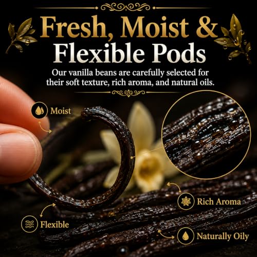 Madagascar Vanilla Beans 15 Organic Vanilla Beans Grade A 5 (15 Count)