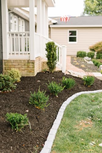 Landscape Edging (1-Pack (4 FT) / Greystone)
