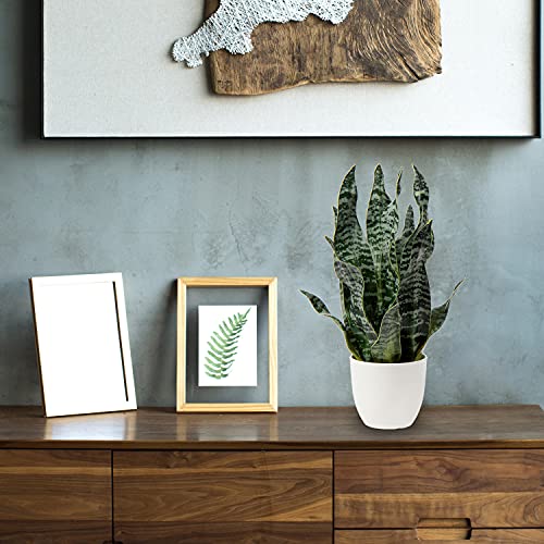 Artificial Snake Plant Potted Faux Sansevieria Trifasciata Plants (Green-16.5" Style 2)