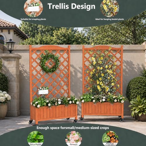 2 Pack Trellis Raised Garden Bed Trellis for Climbing Plants (Red Brown / H50 × W28 × D13 in)