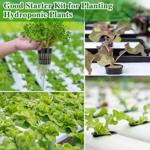 144PCS 1.2" Rockwool Cubes & 120PCS 2" Net Cups for Hydroponics (264 Count)