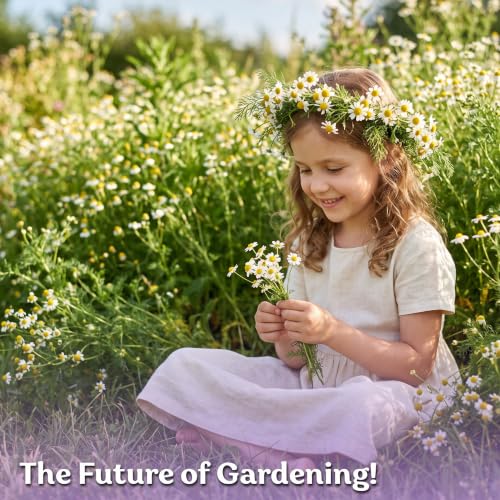2500 Roman Chamomile Heirloom Perennial Flower Seeds