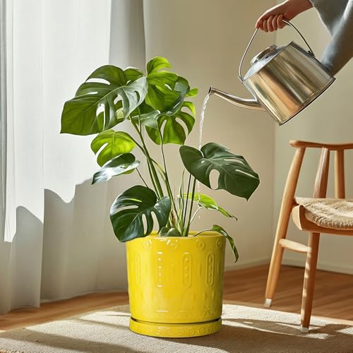 Plant Drip Trays (11.4 Inch / Yellow)