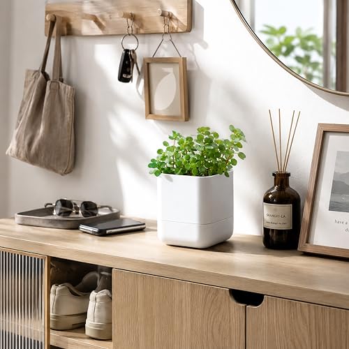 4.5 Inch Wall Mounted Self (4.5" (3 Pack) / White)